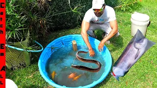 OPENING a LIVE FISH EASTER BASKET!