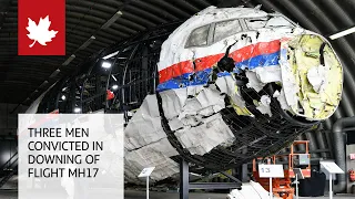 Dutch court convicts three over flight MH17 disaster