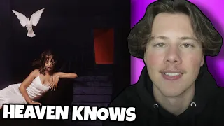 ColeFrosty Reacts to: PinkPantheress - Heaven knows (album)