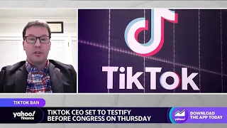 TikTok national security, data collecting concerns ‘are probably valid’: Expert