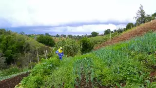 La familia y la agricultura sostenible en Escuela de Campo (Capítulo completo)