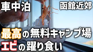 【春の北海道】エビの躍り食いと函館周辺オートキャンプ場へ！ノアで湯ノ沢水辺公園キャンプ場車中泊