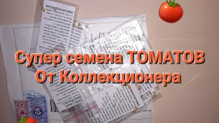 🔴Обзор  Посылки Томатов на Сезон 2024 Томатые Гномы🔴Семена от Коллекционера🔴 Огород Дома