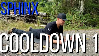 Cool down postures 1 - the Sphinx for spinal extension. Crucial for heavy lifters