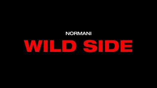 Normani - Wild Side - Instrumental with Background Vocals