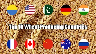 Top 10 | Most Wheat Producing Countries | 2020