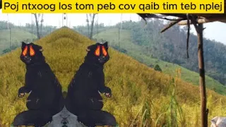 Poj ntxoog los tom peb cov qaib tim teb nplej