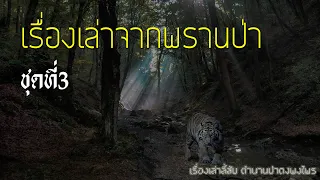 รวมเรื่องเล่าจากพรานป่า ชุดที่ 3 (ฟังยาวๆต่อเนื่อง 5 ชั่วโมง)