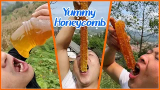 ABS Honey BEE | Best HoneyComb Eating ASMR | Eating Videos🎖️9