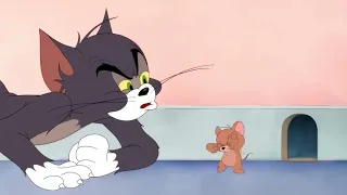 Tom & Jerry | Home But Not Alone! | Classic Cartoon Compilation