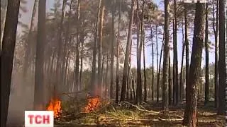 Випуск ТСН.19:30 за 10  травня 2013 року