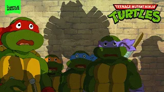 Night of the Rogues! - TMNT 1987