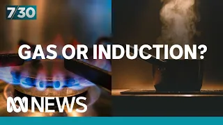 Can induction cooktops really match gas in the kitchen? | 7.30