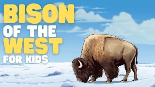 Bison of the West for Kids | Learn all about these special mammals