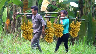 The Joy Of Farmer Couple - Harvesting Lots Of Banana To Sell | Cooking Food In Log Cabin.