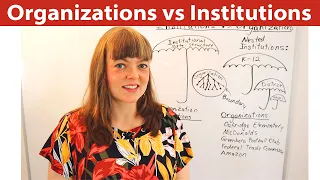 Organizations vs. Institutions: What’s the difference?