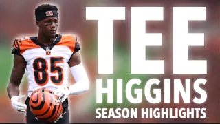 Tee Higgins FULL Rookie Highlights |2020-21