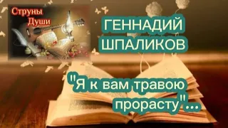 🌺🍃Геннадий Шпаликов ~ Я к вам травою прорасту ~ 🍃🌺