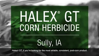 Halex GT Testimonial - Sully, IA