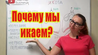 Что такое икота? Зачем мы икаем?