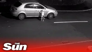 Distressing moment man dumps dog and drives away