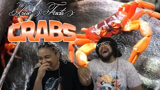 True Facts About Crabs: ZeFrank Reaction ft Chavezz