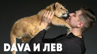 DAVA и его домашний лев - Грум и молния - о2тв