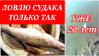 Ловля судака щуки окуня Снасть которая ловит ВСЕГДА. рыбалка 2023