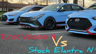 22 Elantra N vs 21 Veloster N dct