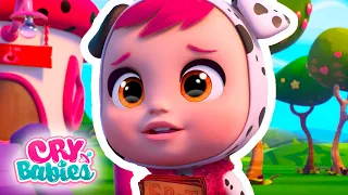 WORLD of Flowers Collection | CRY BABIES 💧 MAGIC TEARS 💕 Long Video | Cartoons for Kids in English