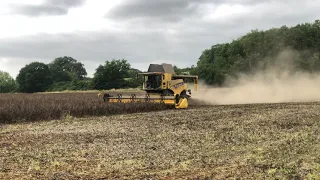 New Holland CR8.90 Revelation spring beans 2021