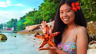SIMPLE LIFE IN SAMAL ISLAND PHILIPPINES | FOREIGNERS TRY DURIAN FOR THE FIRST TIME| ISLAND LIFE