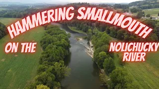 Hammering Smallmouth Bass on the NOLICHUCKY River | BigBaitPosse