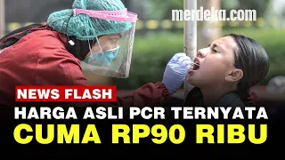 Terungkap! Harga Asli PCR di RI Cuma Rp90 Ribu, Ini Penjelasan Bio Farma