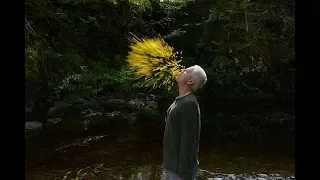 Leaning into the Wind – Andy Goldsworthy (2017) Trailer