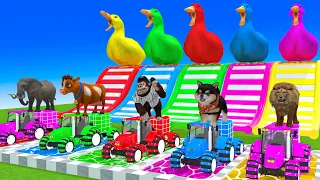 5 Giant Duck, Monkey, Piglet, chicken, dog, cat, lion, cow, Sheep, Transfiguration funny animal 2023