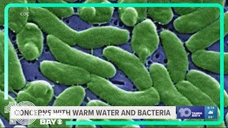 Is warmer water more concern for flesh-eating bacteria?