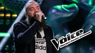 Thomas Løseth - The Boys Of Summer | The Voice Norge 2017 | Blind Auditions