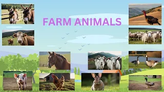 FARM ANIMALS for KIDS | FARM ANIMAL NAMES |