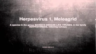 Medical vocabulary: What does Herpesvirus 1, Meleagrid mean