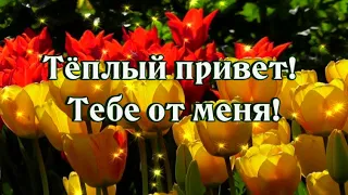 Доброе утро! Удачного дня! Тёплый Привет!  Тебе от меня!💖😘🌺🌺🌺