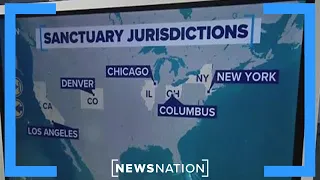 What are sanctuary cities, and how many are there? | Morning in America