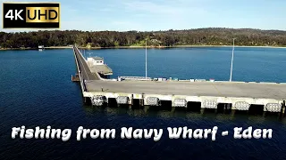 Fishing in Eden, South Coast, NSW | Eden Fishing 4K