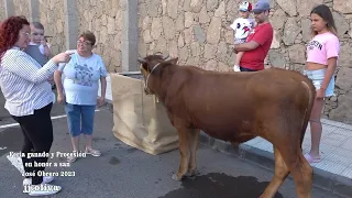 FERIA DE GANADO Y PROCESION EN HONOR A SAN JOSE OBRERO CRUCE ARINAGA 2023