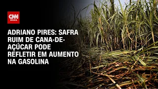 Adriano Pires: safra ruim de cana-de-açúcar pode refletir em aumento na gasolina | CNN NOVO DIA