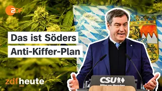 Härtere Strafen als fürs Rasen: Wie überzogen sind Bayerns Cannabis-Bußgelder?