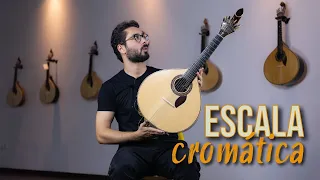 Escala Cromática | Aula de Guitarra Portuguesa