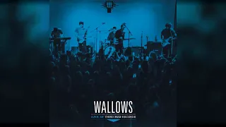 Wallows Live At Nashville, TN