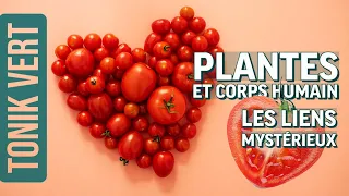 Incroyables bienfaits des plantes