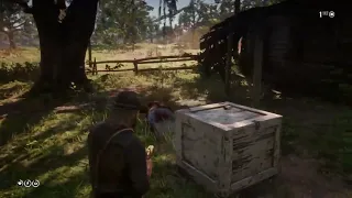 Was Hoping to Get a Forage Cap at Shady Belle : Red Dead Redemption 2